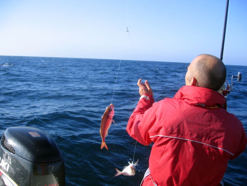 Cascais Deep-Sea Fishing Trip - Half-day vs full-day: choosing the right amount of time