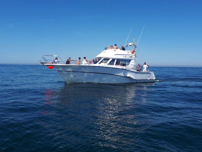 Cascais Deep-Sea Fishing Trip - What you’ll catch in Cascais Bay (and what the crew teaches)