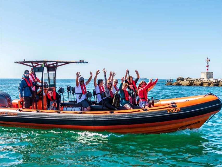 Cascais: Dolphin Watching Tour - Cascais and Estoril Coast Views: The Part You Don’t Want to Rush