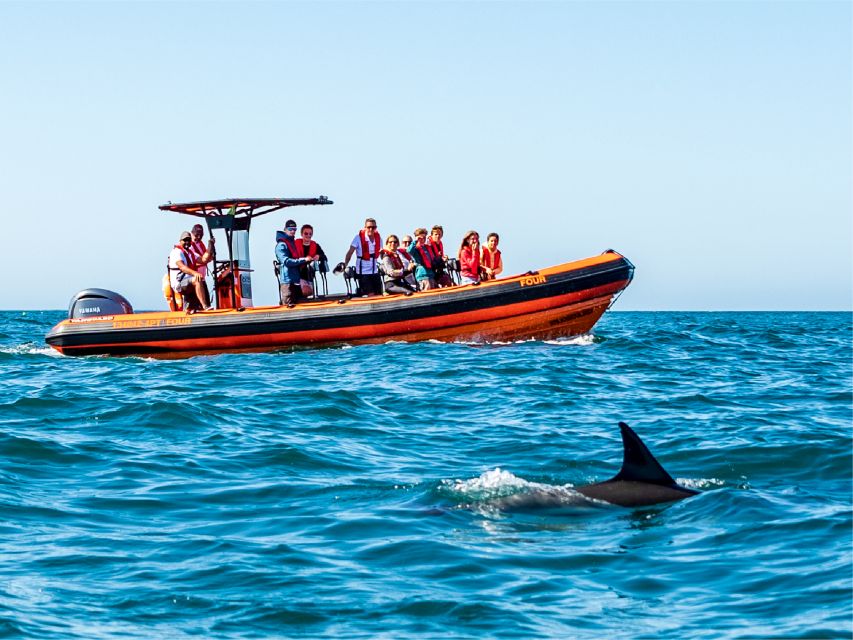 Cascais: Dolphin Watching Tour - Timing and Weather: Why the 2-Hour Plan Still Feels Like Enough