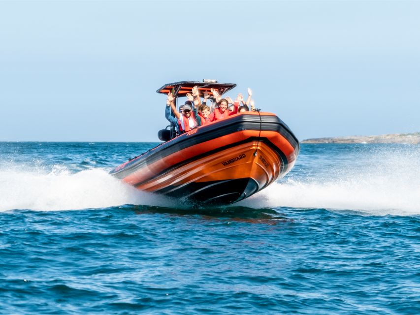 Cascais: Dolphin Watching Tour - On the Water: How the Dolphin Observation Route Actually Works