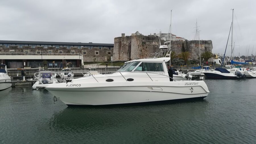Cascais: Half-Day Fishing Trip - Your Equipment, Bait, and Drinks: What’s Covered and What That Means