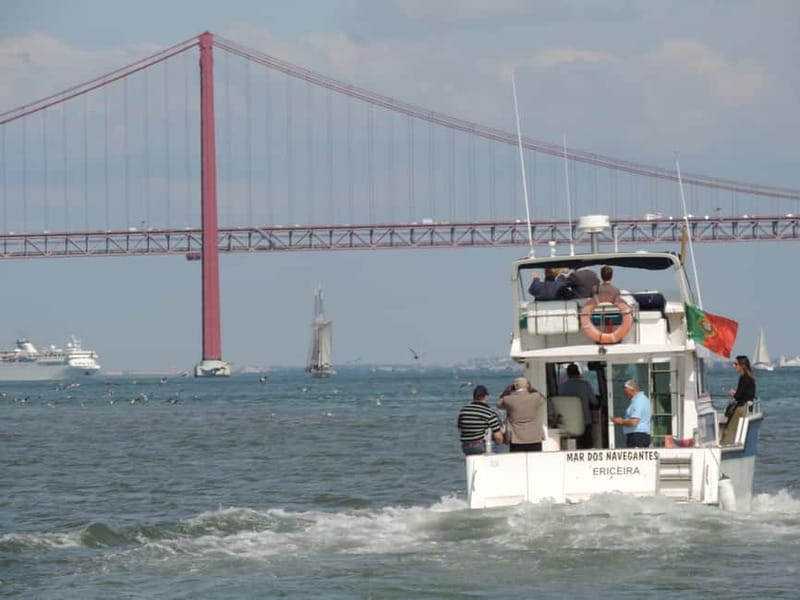 Cascais: Half-Day Fishing Trip - Who This Works Best For (And Who Might Want Another Plan)