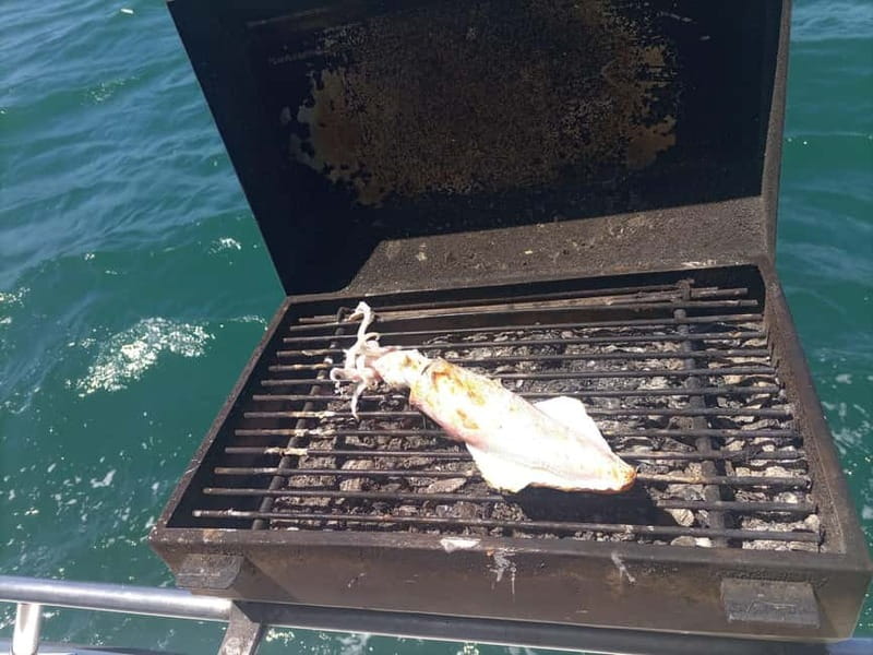 Cascais: Half-Day Fishing Trip - The 3-Hour Sail Out: What Happens Once You’re on the High Seas