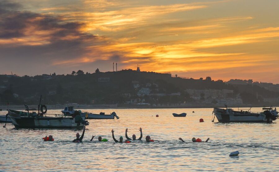 Cascais: Open Water Swimming - Cold-Water Reality Check: Marine Life and Wetsuit Planning