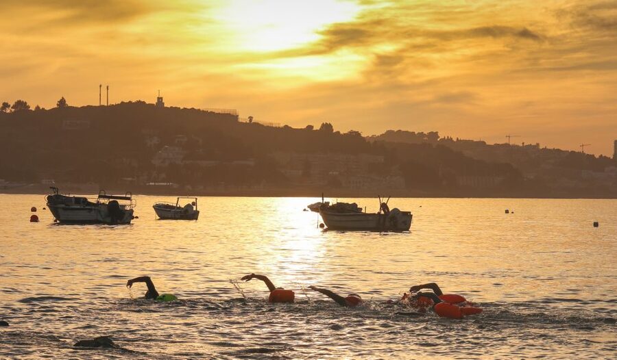 Cascais: Open Water Swimming - Price and Value: What $70 Gets You Beyond a Dip