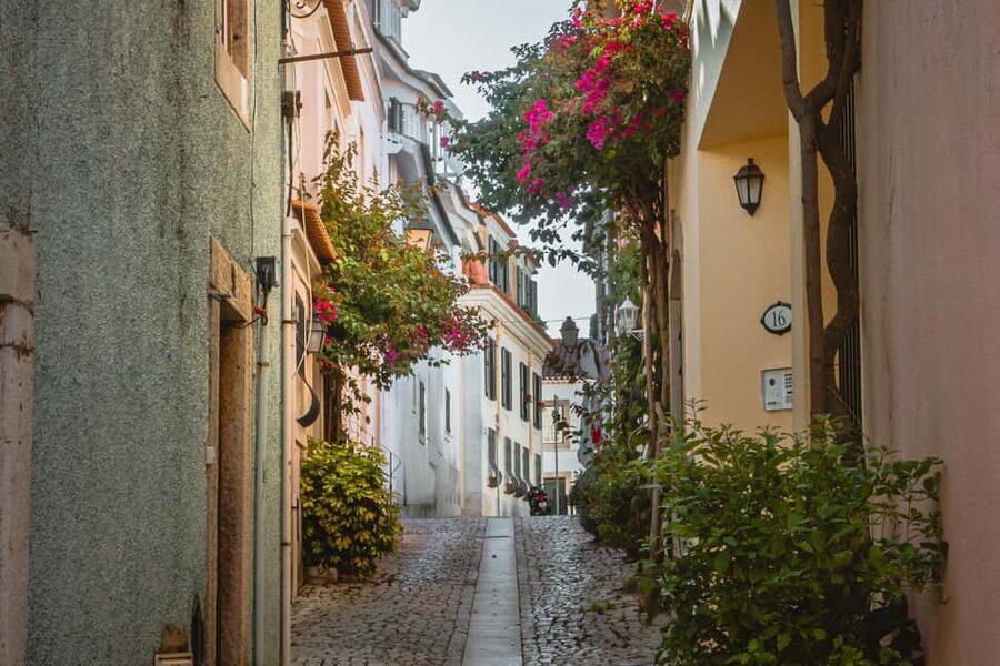 Cascais: Private & Flexible Walking Tour in Historic Center - Old Town Lanes, 14 Street Art Works, and the Yellow Streets Scene