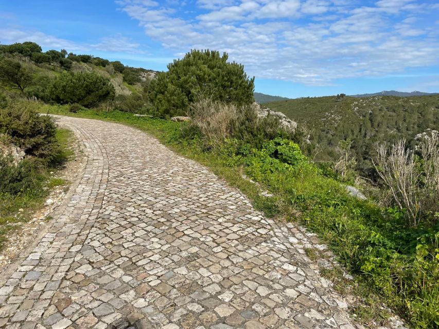 Cascais-Sintra E-bike Tour: Coast & Countryside Adventure - Price and value: what you’re paying for