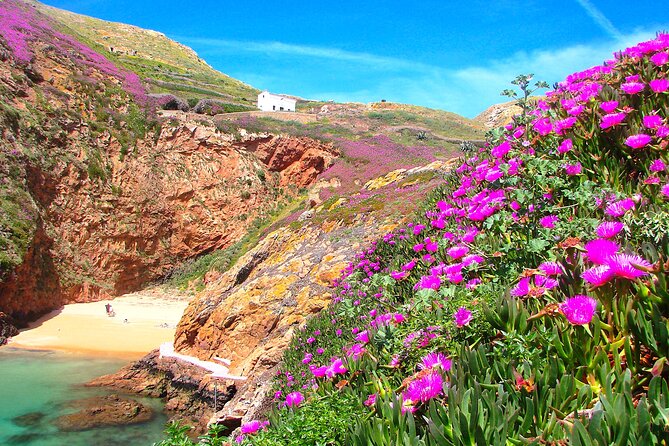 Catamaran trip to Berlengas Island + visit to the caves - Getting the timing right: why the day can feel long or short