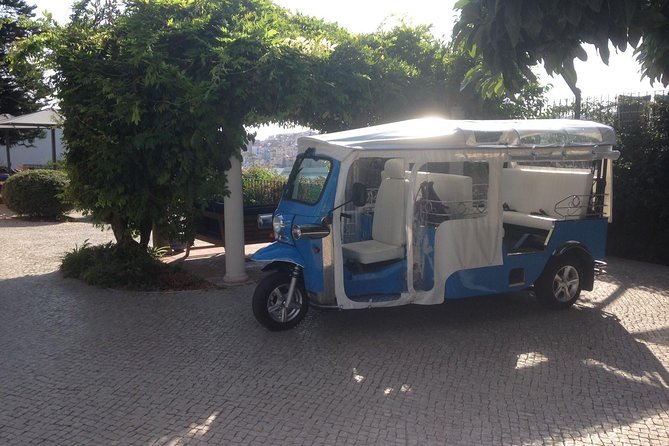 City of Neighborhoods Tour 1H 30M Private Tour by Tuk Tuk - Getting on board: pickup near D. Pedro IV Square