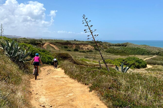 Cliff Top Ride - A guided cliff-top ride near Ericeira (with the pace you can handle)