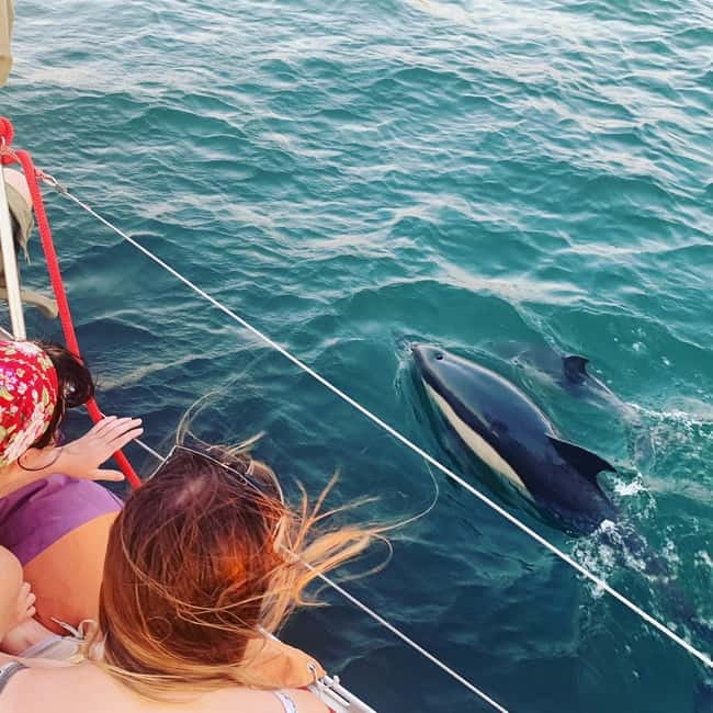 Cultural Sailing Tour in Lisbon - Getting Oriented at the Dock: Meeting Point, Check-In, and Timing
