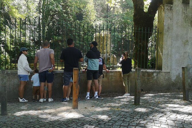 Daytrip from Lisbon to Sintra+Cascais-Large groups up to 10 pax - Stop 3: Quinta da Regaleira and the inverted-well moment