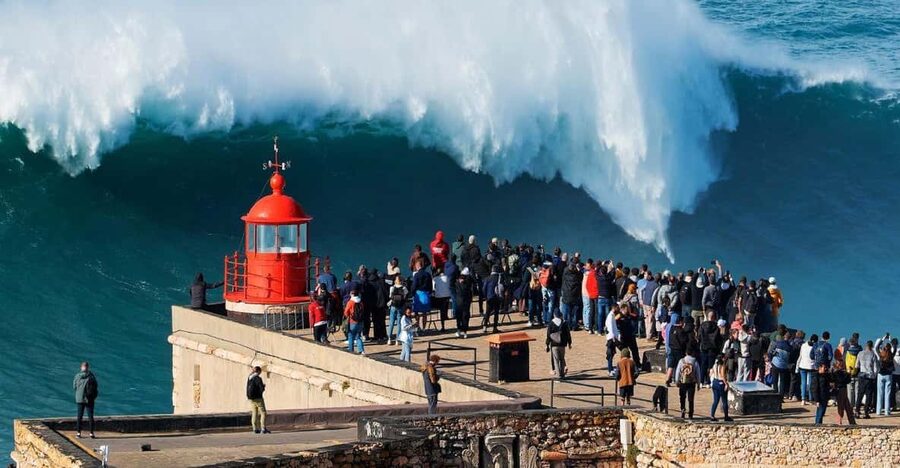 De Lisboa: Óbidos & Nazaré Giant Waves, Ginja & Small Group - Price and Value at Around $116: What You’re Getting, What You’re Not