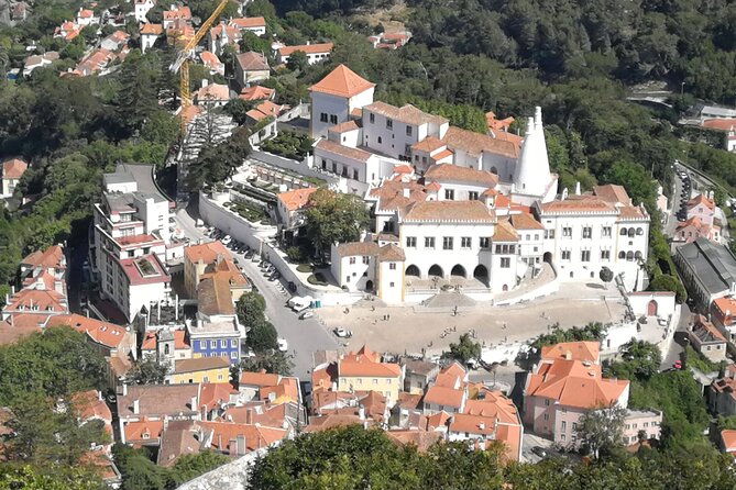 DE Lisbon to Sintra, Jardim DA Pena and Cascais - Pena Palace gardens: the part you’ll actually savor (and the €10 ticket)