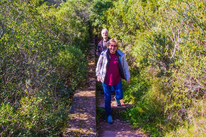 Discover Arrábida: The Secret Paradise - A Lisbon day trip that mixes food, sea, caves, and wine
