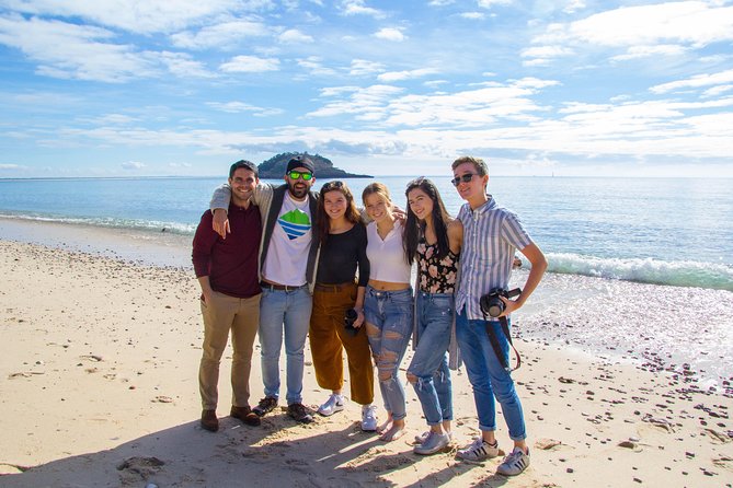 Discover Arrábida: The Secret Paradise - Parque Natural da Arrábida viewpoint: the quick drive with big payoff