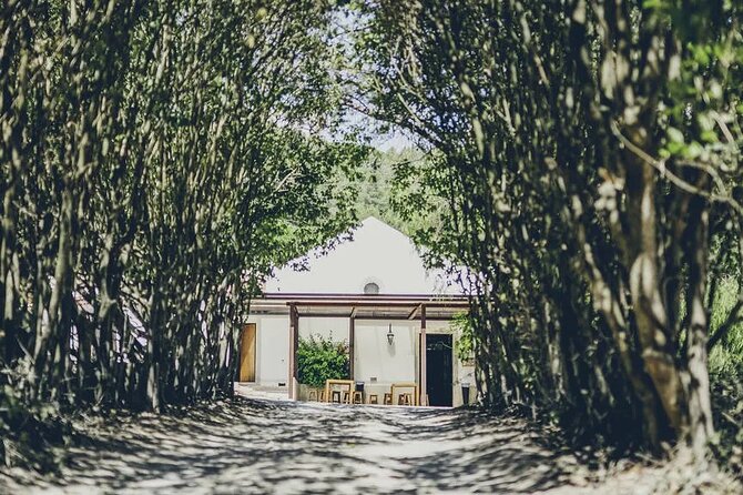 Discover Setúbal´s Secrets: Wine, Culture&Arrabida Magic| PRIVATE - The Church of the former Monastery of Jesus: Manueline architecture with meaning