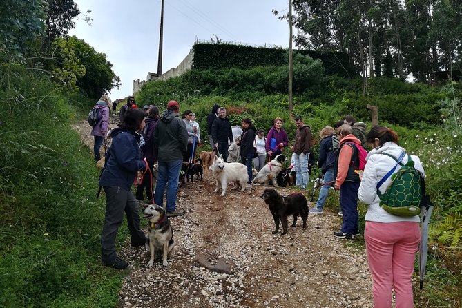 Discover Sintra's Hidden Trails: A Unique Hiking Experience - Carcavelos pickup and a smooth 3–4 hour rhythm