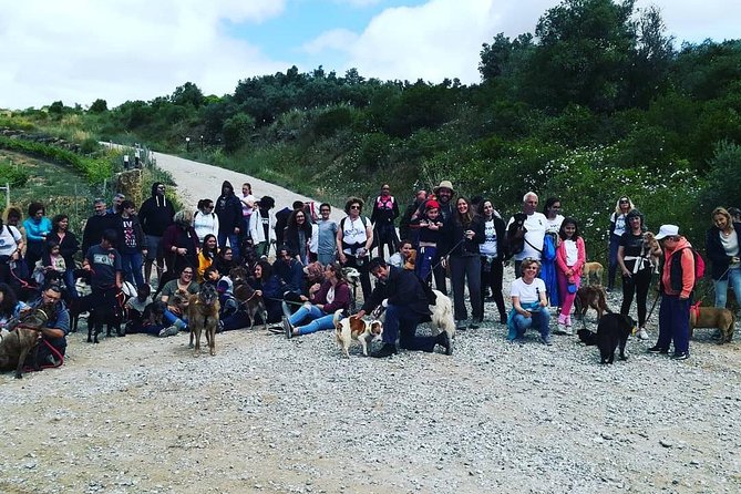 Discover Sintra's Hidden Trails: A Unique Hiking Experience - Small-group limits (10) and what you gain from it