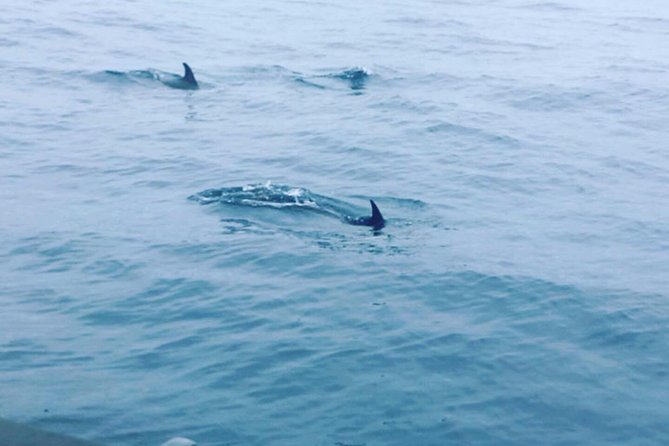 Dolphin Route - The Meeting Point: Peniche by the Water, With a Clear Start