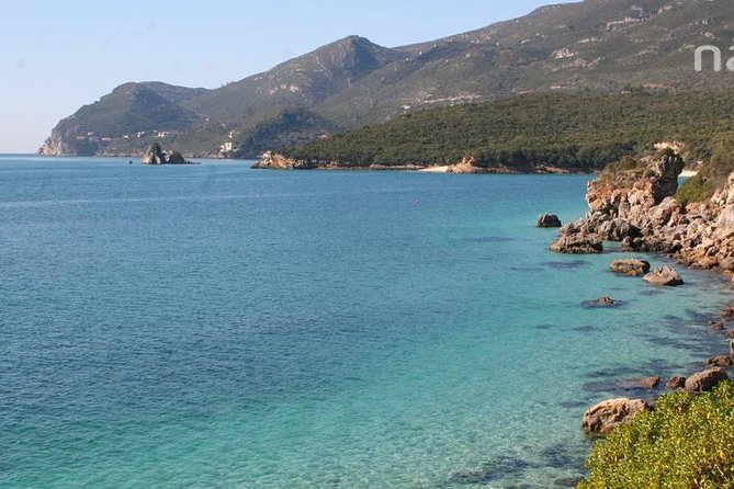 Dolphin Watching in the Wild - Half Day - Practical tips: smart casual, what to pack, and how to make the most of 4 hours