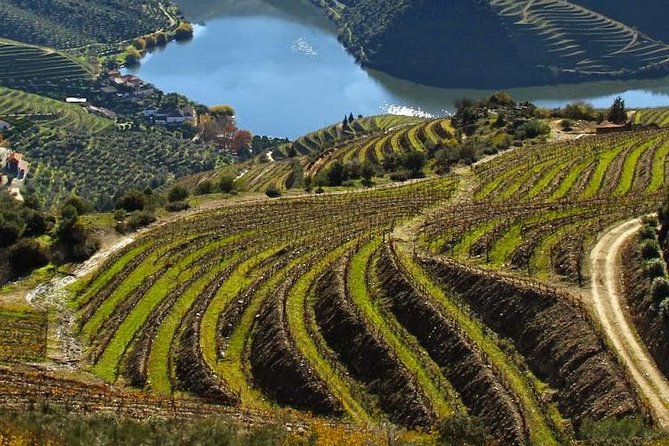 Douro Valley Private Wine Tour From Lisbon - Key highlights worth your attention