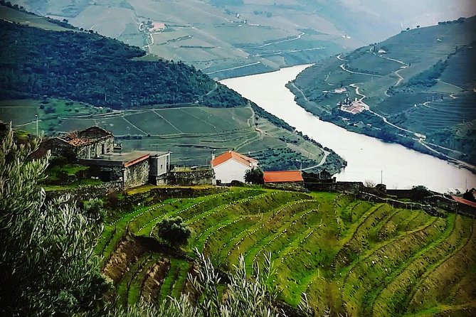 Douro Valley Private Wine Tour From Lisbon - Winery stops and tastings: what’s included vs what costs extra
