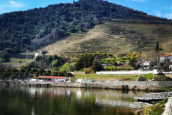 Douro Valley Private Wine Tour From Lisbon - Optional Douro River cruise from Pinhão: relaxing, but plan for the extra cost