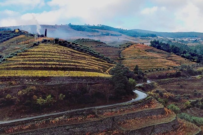 Douro Valley Private Wine Tour From Lisbon - Small-group feel, long-day reality