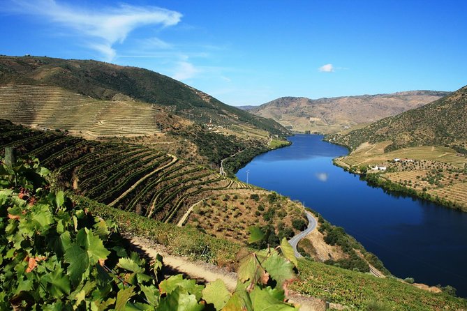 Douro Valley Private Wine Tour From Lisbon - Pinhão: your main window for wine culture and lunch choices