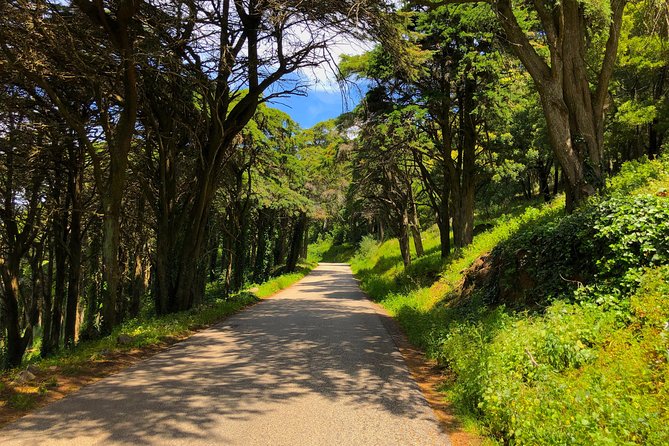 E-Bike Self-Guided Sintra - Cascais (Private Tour from Lisbon) - The Lisbon to Sintra train ride: why it saves your energy