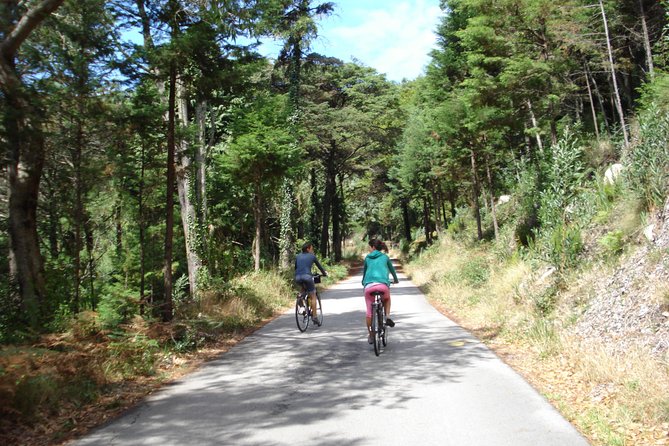 E-Bike Self-Guided Sintra - Cascais (Private Tour from Lisbon) - Cascais historic center and the return train to Lisbon