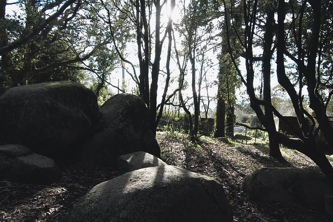 Epic Off-Road Adrenaline in Sintra - Price ($93.68) and value: what you’re really paying for