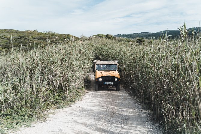 Epic Off-Road Adrenaline in Sintra - Beyond the palaces: forests, lakes, and hilltop convent-style stops