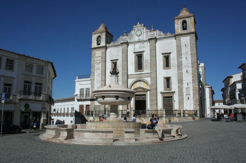 Évora and Megaliths Full-Day Tour from Lisbon - Cork in Alentejo: learning how cork comes from cork oak trees