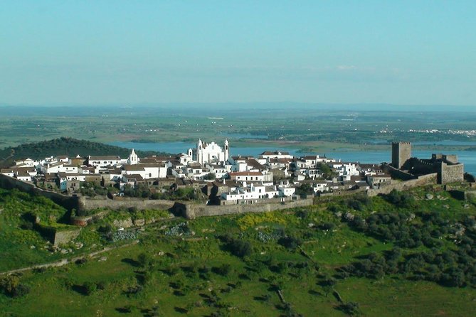 Evora and Monsaraz Wine Tasting Private Tour - Pickup, Van Comfort, and the Little Things That Change Your Day