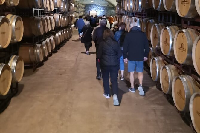 Évora Private Tour - Cork Factory and Wine Estate Included - Cathedral of Évora: Views That Justify the Stairs