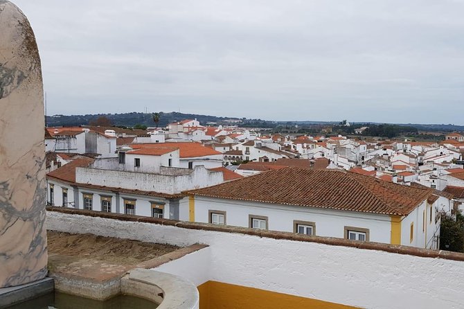 Évora Private Tour - Cork Factory Visit & Wine Tasting Included - Wine tasting at Herdade Das Servas: where the day clicks