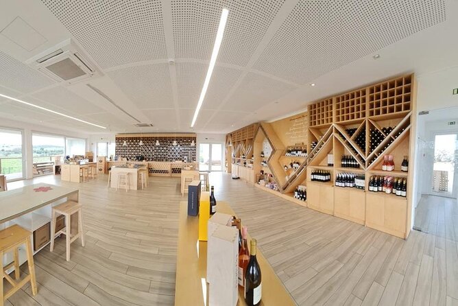 Évora, Private Tour with Wine Tasting and Lots of History - Ervideira winery: 6 tastings plus local bites and friendly chaos