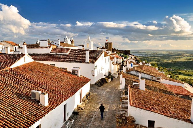 Évora the Heart and Soul of South Portugal - Ervideira Wine Shop in Évora: Whites, Rosés, Reds, and Real Pairings