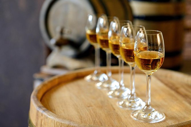 Évora Wine & Heritage Tour from Lisbon - Use your free time in Évora without getting lost