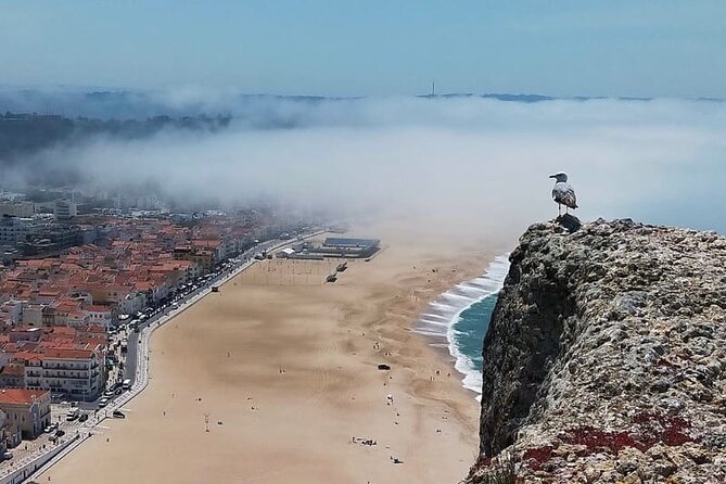 Excursion from Lisbon to Fátima Grutas Nazaré and Óbidos - Marquês de Pombal start: easy logistics, a landmark first stop