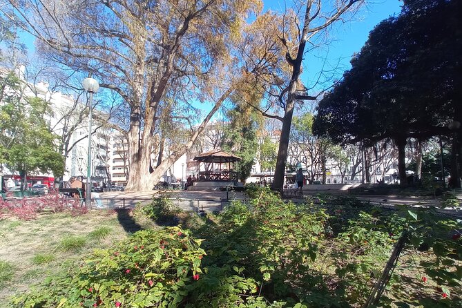 Explore Like a Local - Private Tour with Van and Local Guide - Lapa drive-through: embassy streets and calm elegance