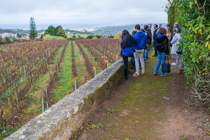 Explore Sintra with Luxury Transportation and Guiding - Who Should Book This Sintra + Coast Day Trip