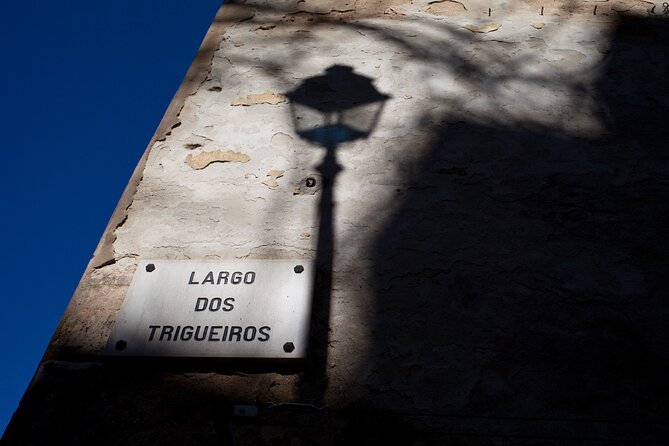Fado: A Story of Thugs, Harlots and Poets - Private Walking Tour - Escadinhas da Saude: The Stairs, the Wall, and the Lift