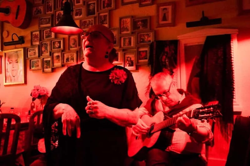 Fado Musical Experience with Portuguese Wine & Appetizers - Who should book this Fado evening, and who might want a different plan