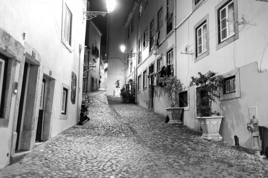 Fado: Musical Walking Tour with Food & Live Show - Who This Tour Suits Best (and Who Should Skip It)
