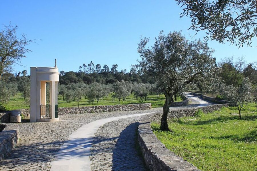 Fatima, Batalha, Nazare, Obidos Private Full Day Tour - Nazaré Sitio Views: Cliffs, Legend, and the Statue of Our Lady