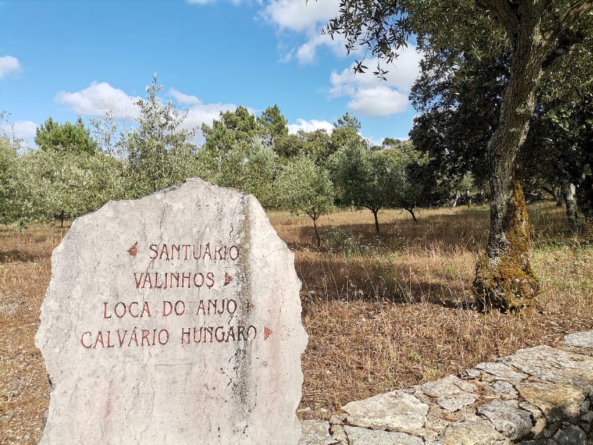 Fatima Full-Day Private Personalized Pilgrimage from Lisbon - A Private Fatima Day That Actually Lets You Breathe